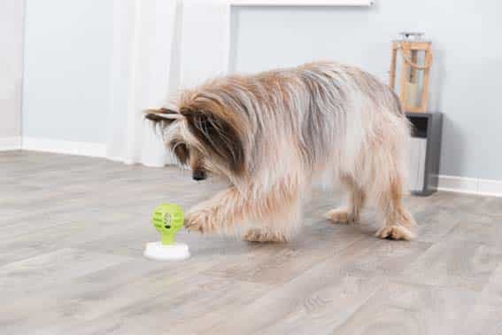 Trixie Lick'n'Snack Boll TPE/ABS 8-11cm - Bild 2