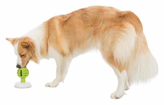 Trixie Lick'n'Snack Boll TPE/ABS 8-11cm - Bild 6
