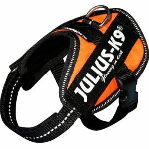 Julius K9 IDC-sele Baby 2 UV Orange