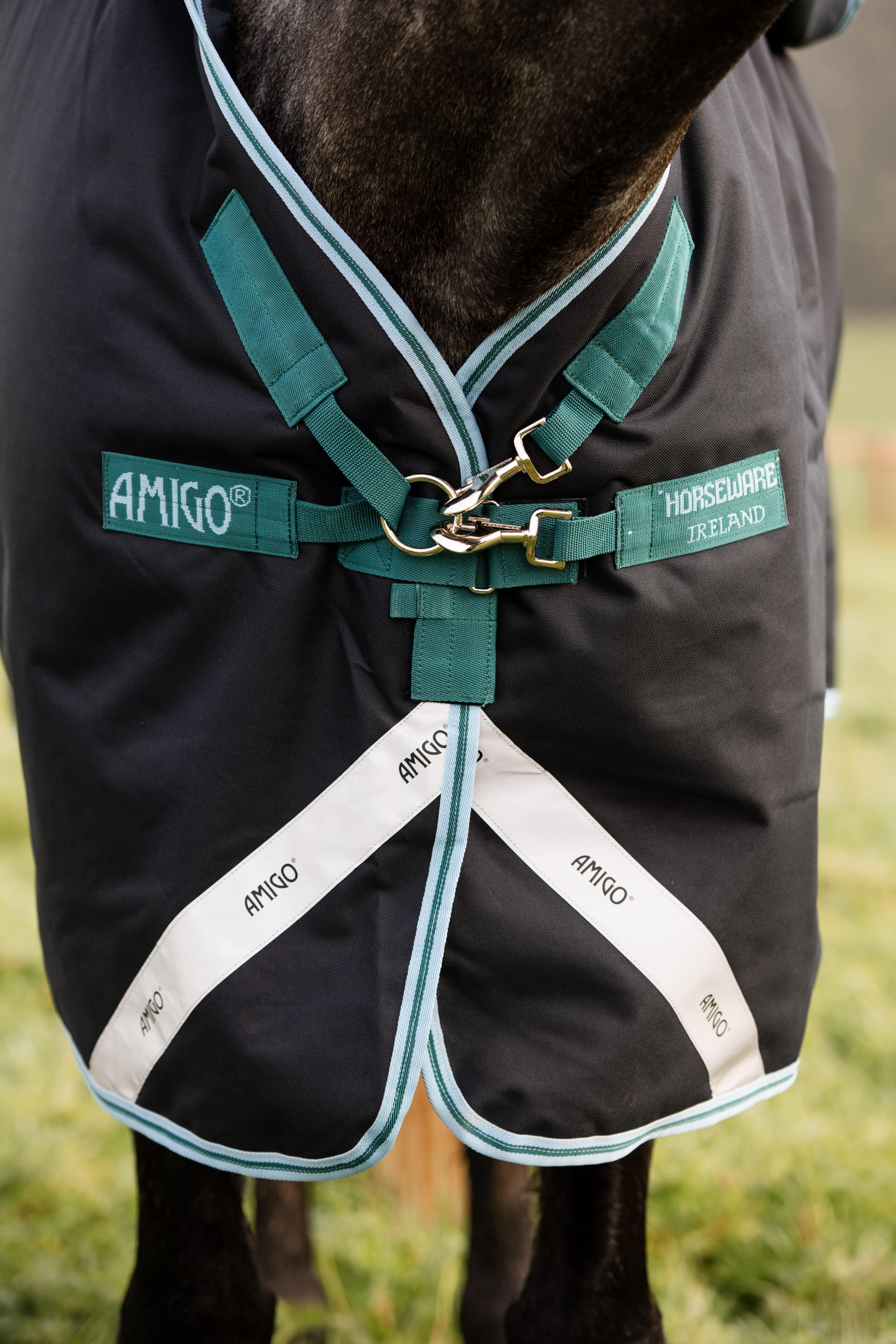 Amigo Bravo 12plus T/O 250gr Navy/Aqua & Turquoise 165 - Bild 2