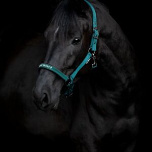 HG Sandra Grimma Darkest Spruce Shetland