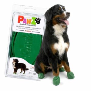 Paws hundsko grön XL