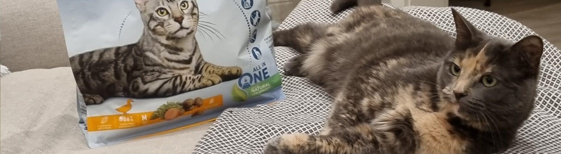 Kattsand & Kattströ