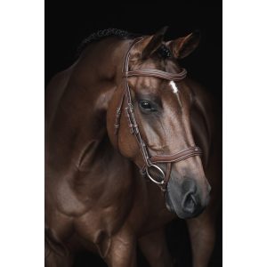 Lippo Eccelente Träns Cognac
