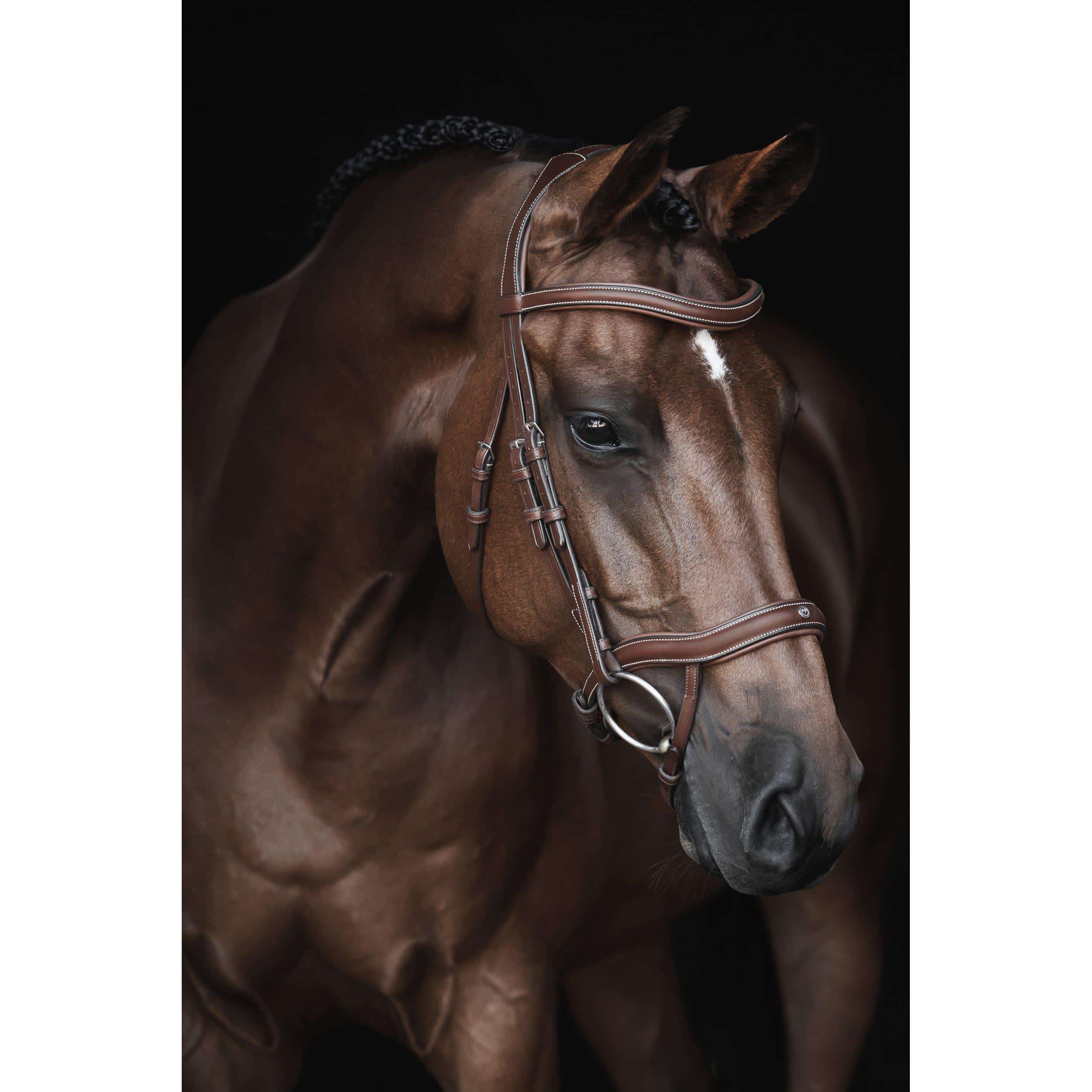 Lippo Eccelente Träns Cognac