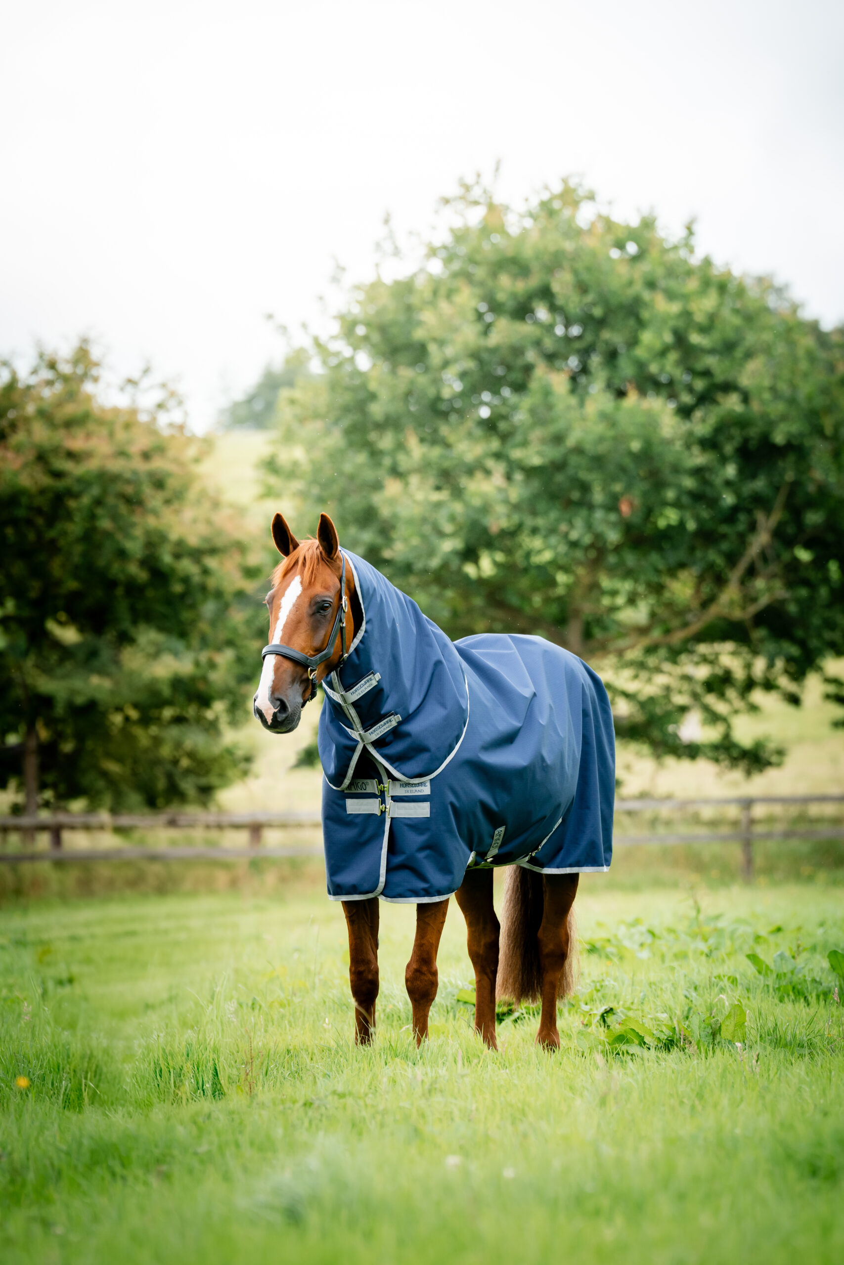 Amigo Ripstop 900D Turnout 200gr Plus Witney Navy
