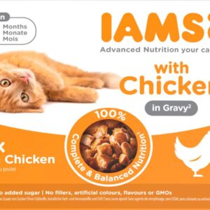 Iams Delights Kitten gravy 12-p