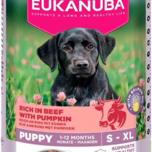 Eukanuba Våtfoder Puppy, Nötkött med pumpa 400g