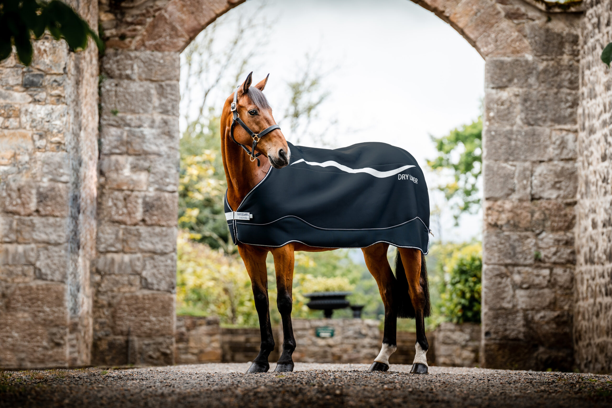 Horseware Dry Liner