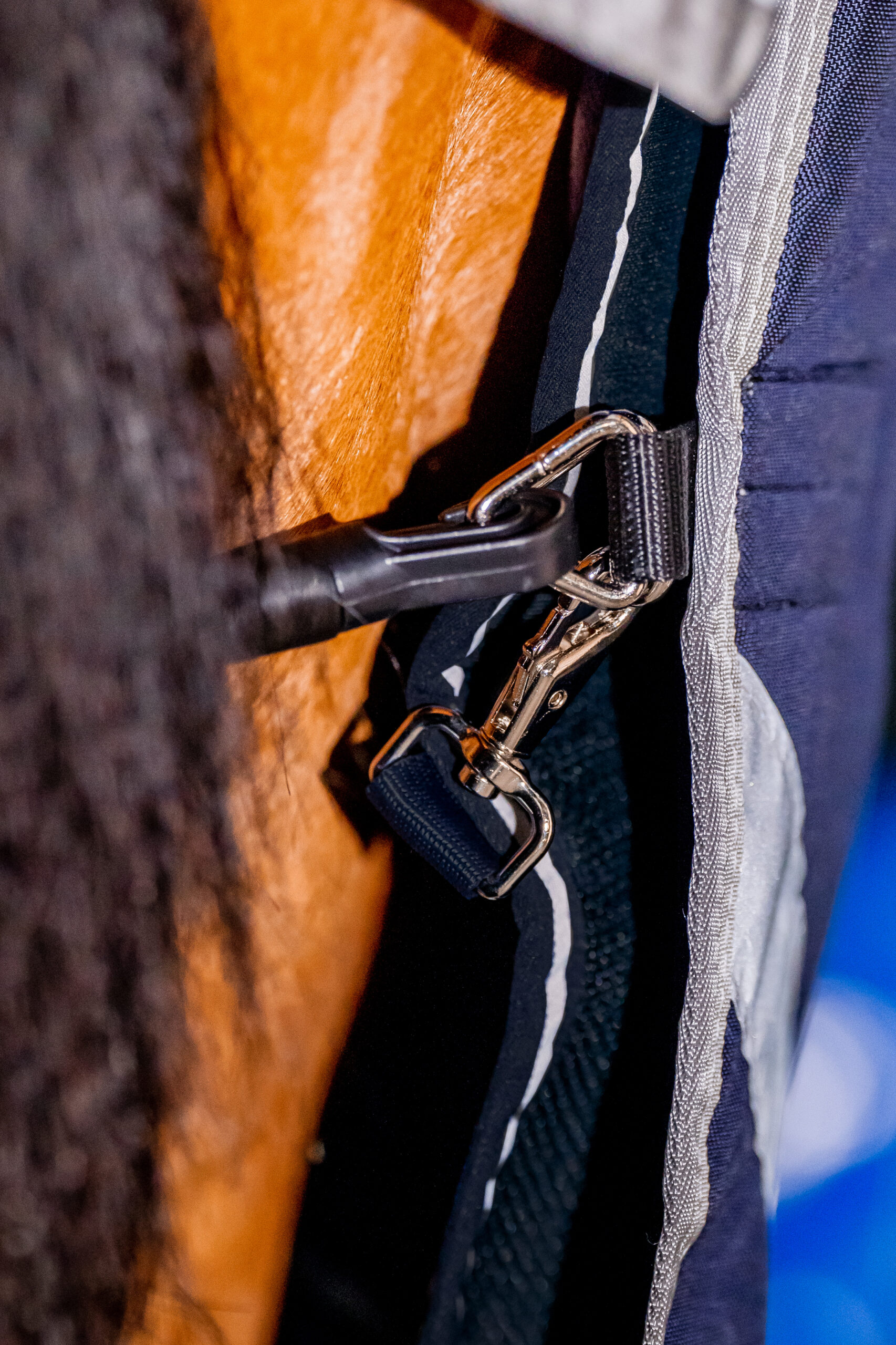 Horseware Dry Liner - Bild 8