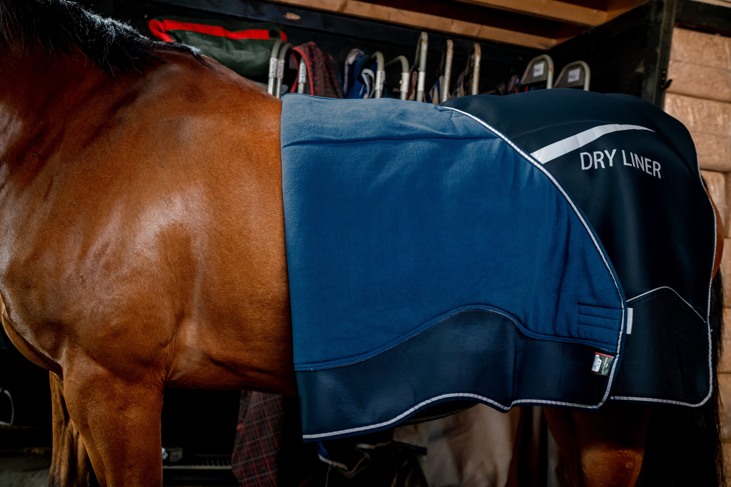 Horseware Dry Liner - Bild 7