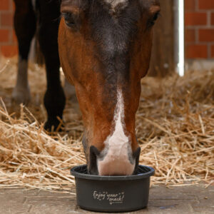 Waldhausen Treat Bowl