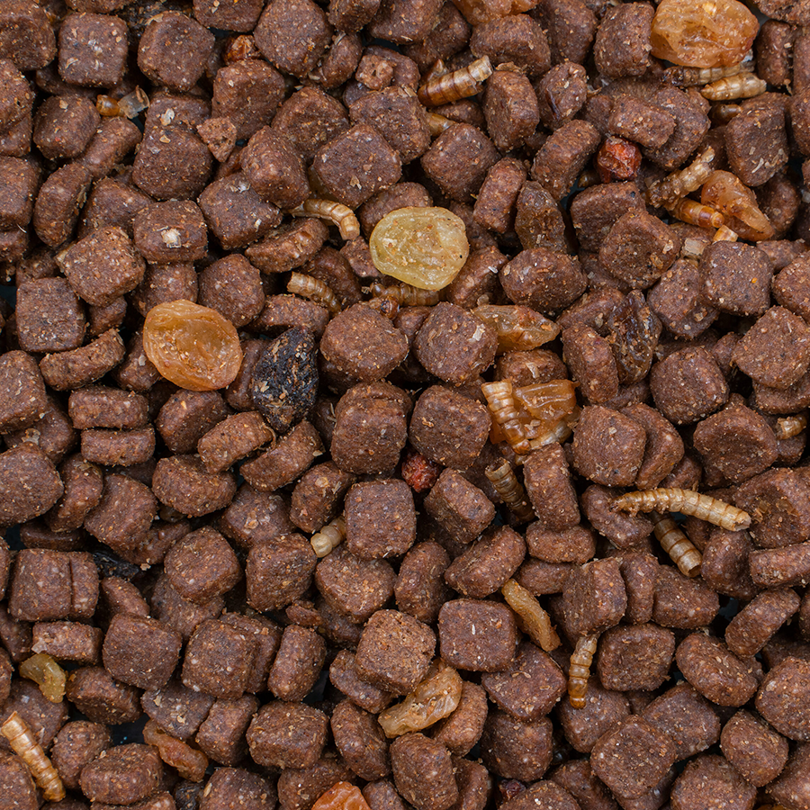 Igelkottmix 600 gr - Bild 2