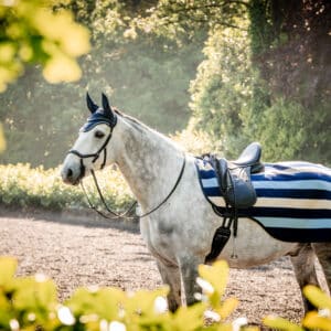 Rambo Newmarket Deluxe Fleece Exercise Sheet Navy