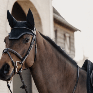 Kentucky Flughuva Wellington Glitter Stone Svart Cob